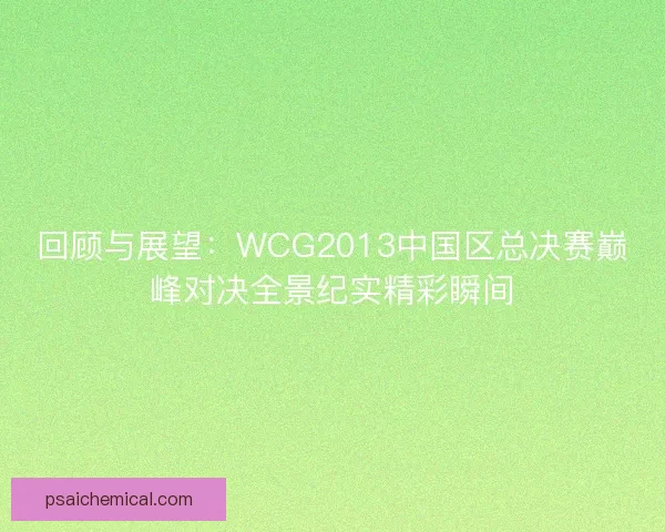 回顾与展望：WCG2013中国区总决赛巅峰对决全景纪实精彩瞬间