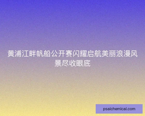黄浦江畔帆船公开赛闪耀启航美丽浪漫风景尽收眼底