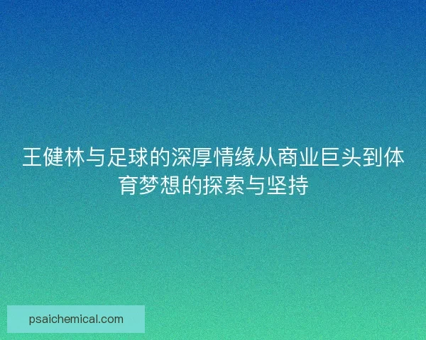 王健林与足球的深厚情缘从商业巨头到体育梦想的探索与坚持