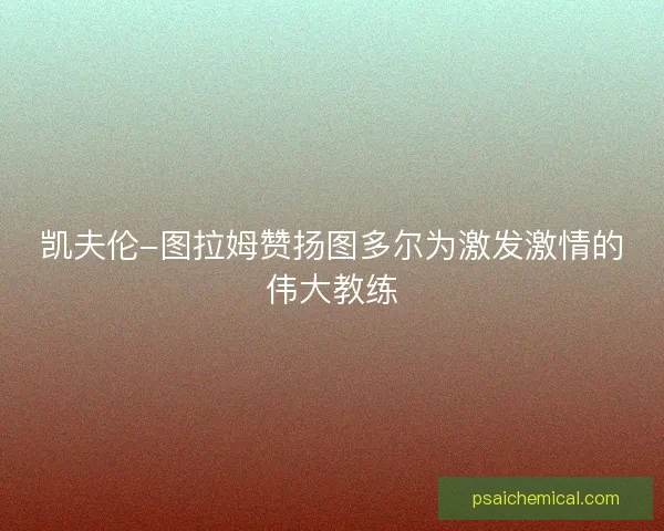 凯夫伦-图拉姆赞扬图多尔为激发激情的伟大教练