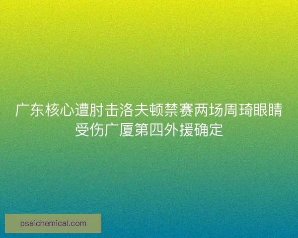 广东核心遭肘击洛夫顿禁赛两场周琦眼睛受伤广厦第四外援确定