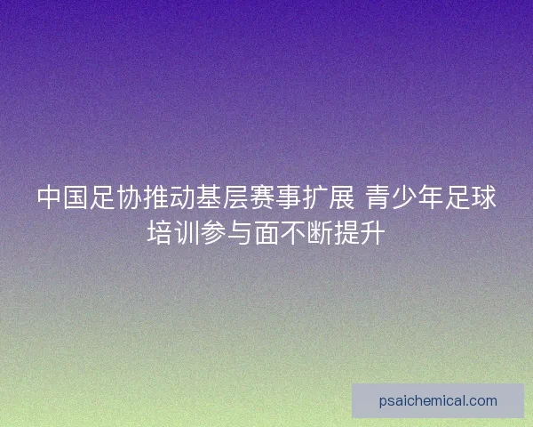 中国足协推动基层赛事扩展 青少年足球培训参与面不断提升