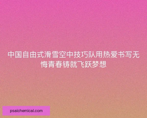 中国自由式滑雪空中技巧队用热爱书写无悔青春铸就飞跃梦想