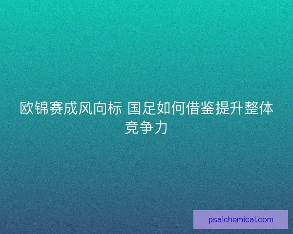 欧锦赛成风向标 国足如何借鉴提升整体竞争力